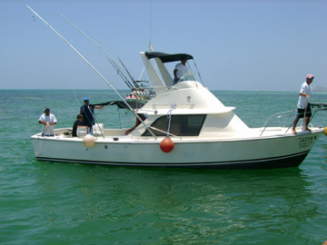 31ft Fishing Charter Boats