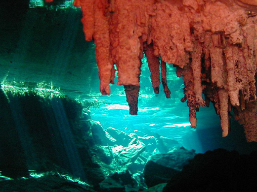 Cenote Diving Cancun
