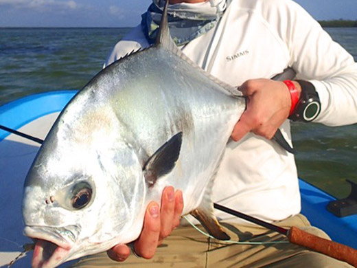 Permit Fishing Cancun Isla Blanca